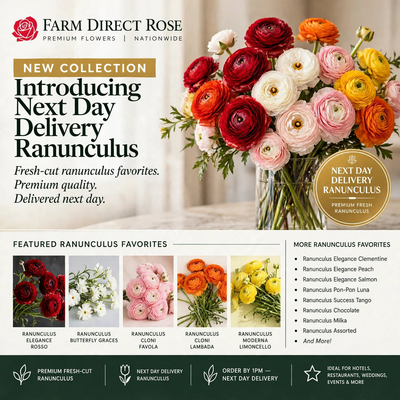 Next Day Delivery Ranunculus