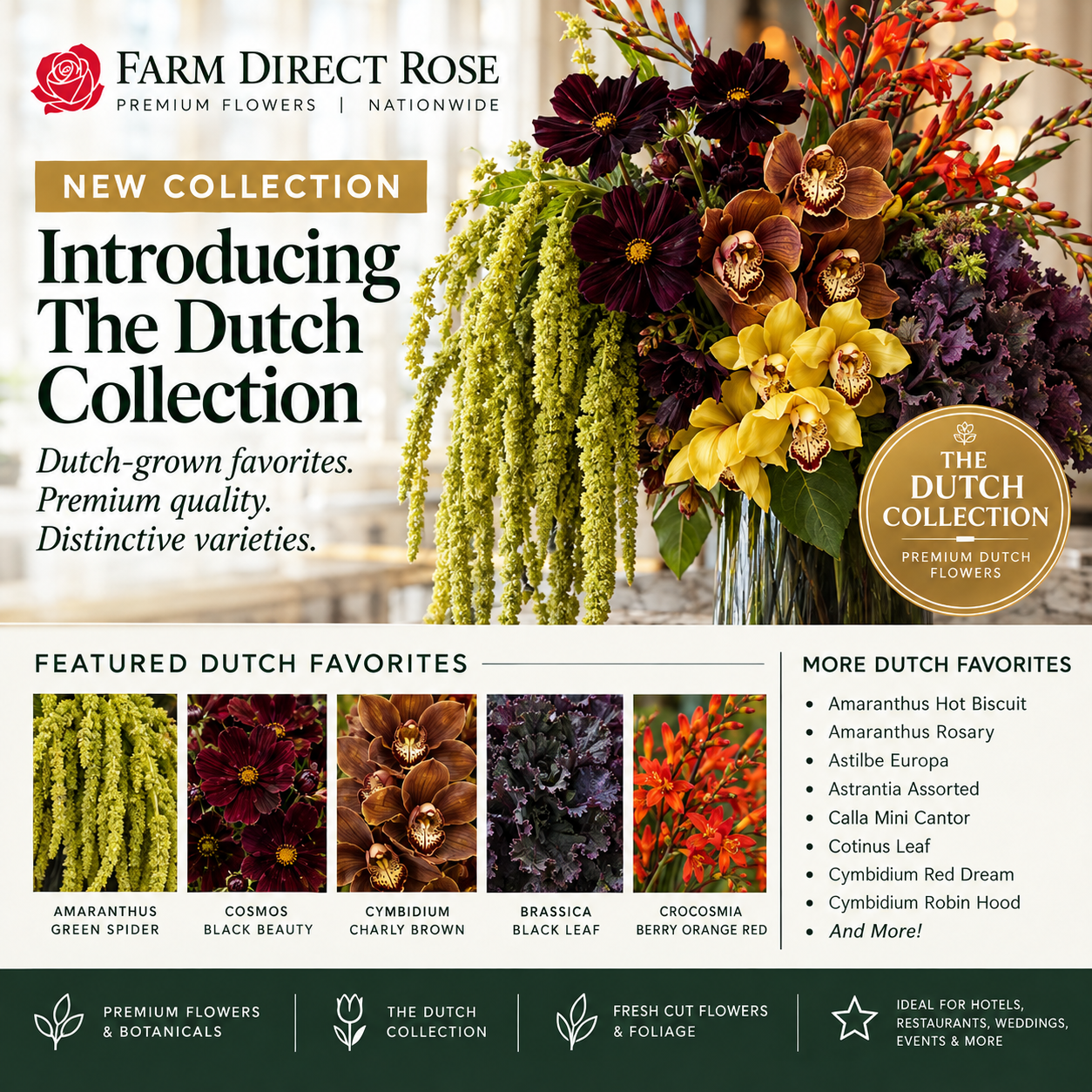 The Dutch Collection