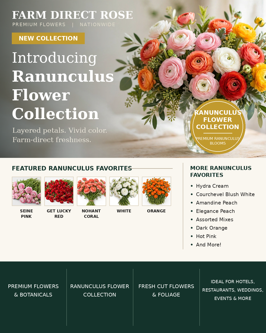 Ranunculus Flower Collection