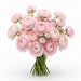 Next Day Delivery - RANUNCULUS LIGHT PINK 35cm 10st - Light Pink - 120 Stems [LIMITED]