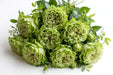 Next Day Delivery - ROSE VEGGIE 40cm 4cm 25st - Green - 100 Stems [Limited]