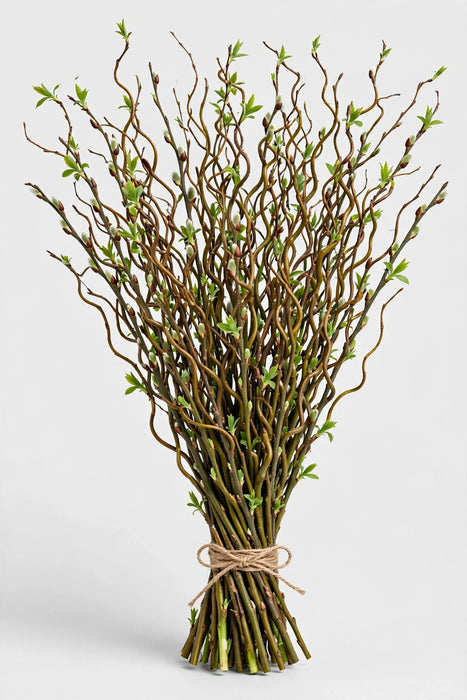 Curly Willow Lg - 10 Bunches/Bag