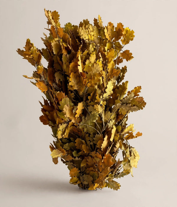 Oak Leaves Yellow - 20 Bunches / Box (Mix & Match)