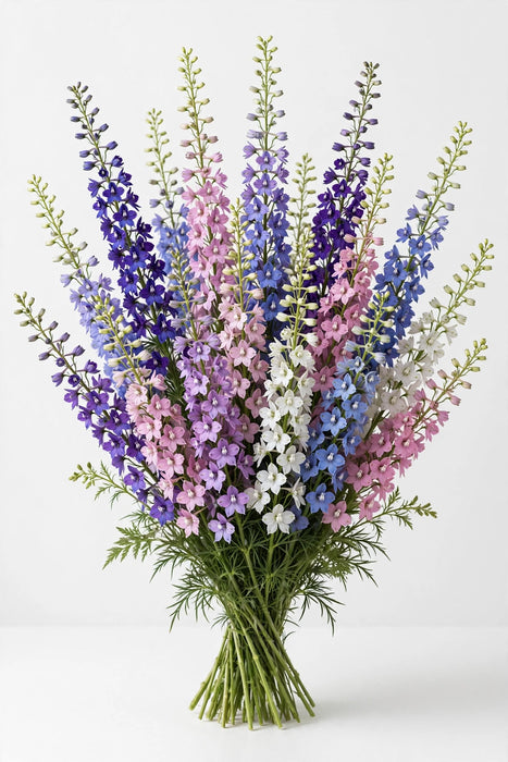 Next Day Delivery - LARKSPUR ASSORTED 80cm 10st - Assorted - 120 Stems [LIMITED]