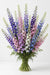 Next Day Delivery - LARKSPUR ASSORTED 80cm 10st - Assorted - 120 Stems [LIMITED]