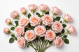 Next Day Delivery - ROSE MISS PIGGY+ 50cm 5cm 25st - Pink - 100 Stems [LIMITED]