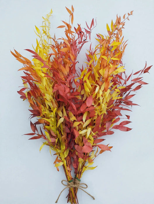 Italian Preserved - Italian Ruscus Fall Mix - 20 Bunches / Box (Mix & Match)