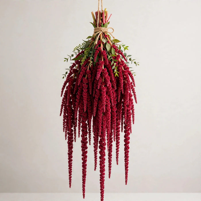 Amaranthus Hanging Red 70CM 10BU/BX