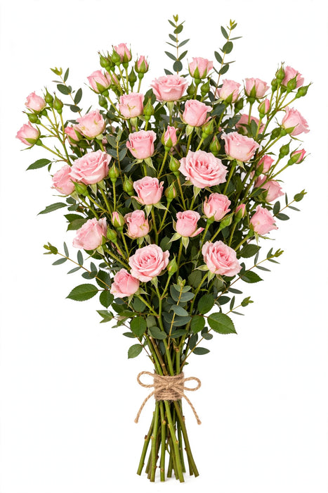 Spray Roses Pink Mayolika 50CM 120ST/BX