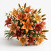 Next Day Delivery - LILY LA FALL PACK 3+ 70cm 10st - Assorted - 60 Stems [LIMITED]