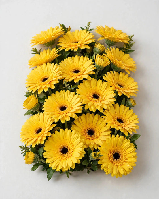 Gerberas Yellow 60ST/BX