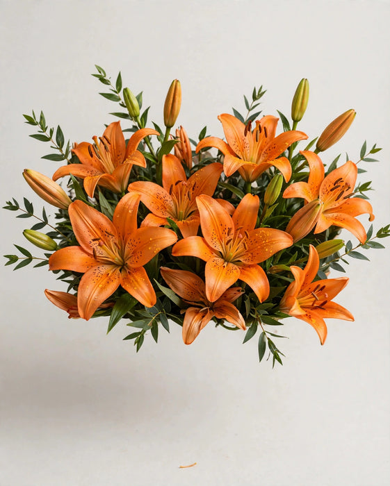 Lilies La Orange 3/5bm 80ST/BX