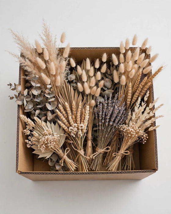Dried Artichoke Fall 20STM