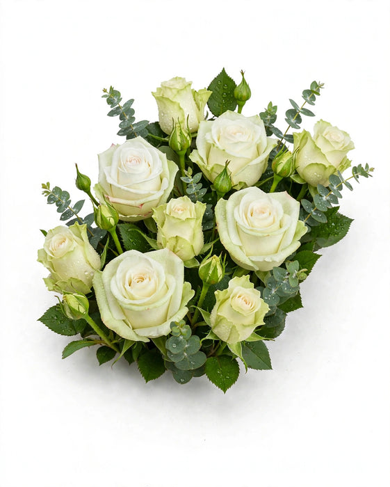 Roses Alba 50cm 100ST/BX