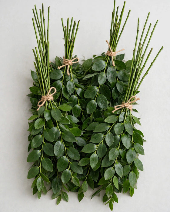 Ruscus Fl. Style 70cm 40BU/BX