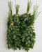 Ruscus Fl. Style 70cm 40BU/BX