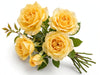 Next Day Delivery - ROSE HONEY BEE 50cm 6cm 25st - Yellow - 100 Stems [LIMITED]