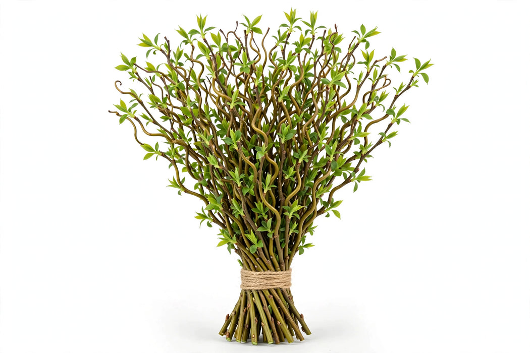 Curly Willow Tips - 10 Bunches/Bag
