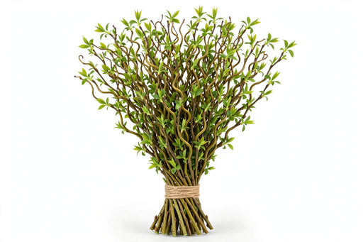 Curly Willow Tips - 10 Bunches/Bag