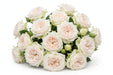 Next Day Delivery - ROSE WHITE O'HARA 40cm 7cm 25st - White - 100 Stems [LIMITED]