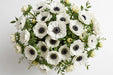 Next Day Delivery - Anemones White-panda Carmel 40-50 cm - 120 Stems [LIMITED]