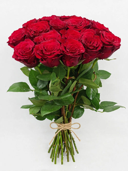 Roses Freedom 50CM 100ST/BX