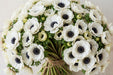 Next Day Delivery - ANEMONE CO LEVANTE BIANCO 35cm 10st - White - 120 Stems [Limited]