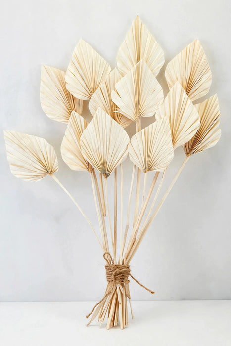 Dried Palm Spear White 25BU/BX