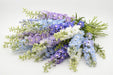 Next Day Delivery - DELPHINIUM EL DEWI ASSORTED 80cm 5st - Assorted - 60 Stems [LIMITED]