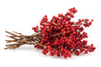 Next Day Delivery - PEPPER BERRIES 60cm 5st - Red - 50 Stems [LIMITED]