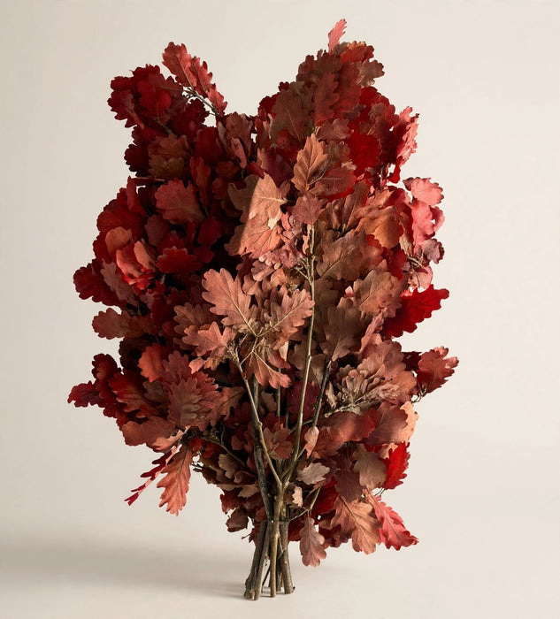 Oak Leaves Red - 20 Bunches / Box (Mix & Match)