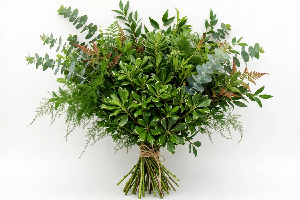 Samba Mix Foliages - 160 Stems/Box