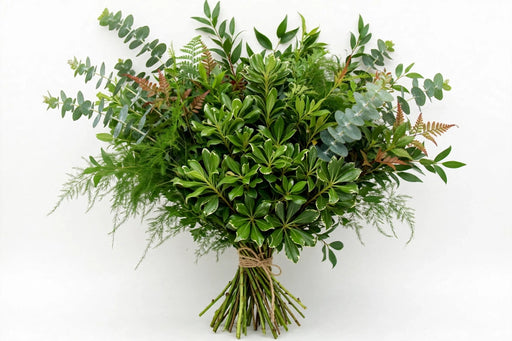 Samba Mix Foliages - 160 Stems/Box