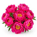 Next Day Delivery - Peonies Neon Pink Paula Fay 50-60 cm - 60 Stems [LIMITED]