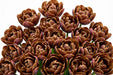 Tulip Collective - Dyed Double Brownies 37Cm 35Gr - Brown - 150 Stems