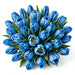 Tulip Collective - Dyed Blue Curacao 37Cm 35Gr - Blue - 150 Stems