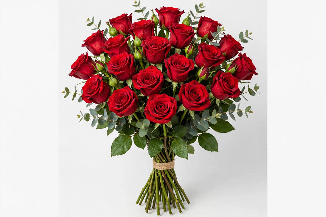 Roses Freedom 60CM 100ST/BX