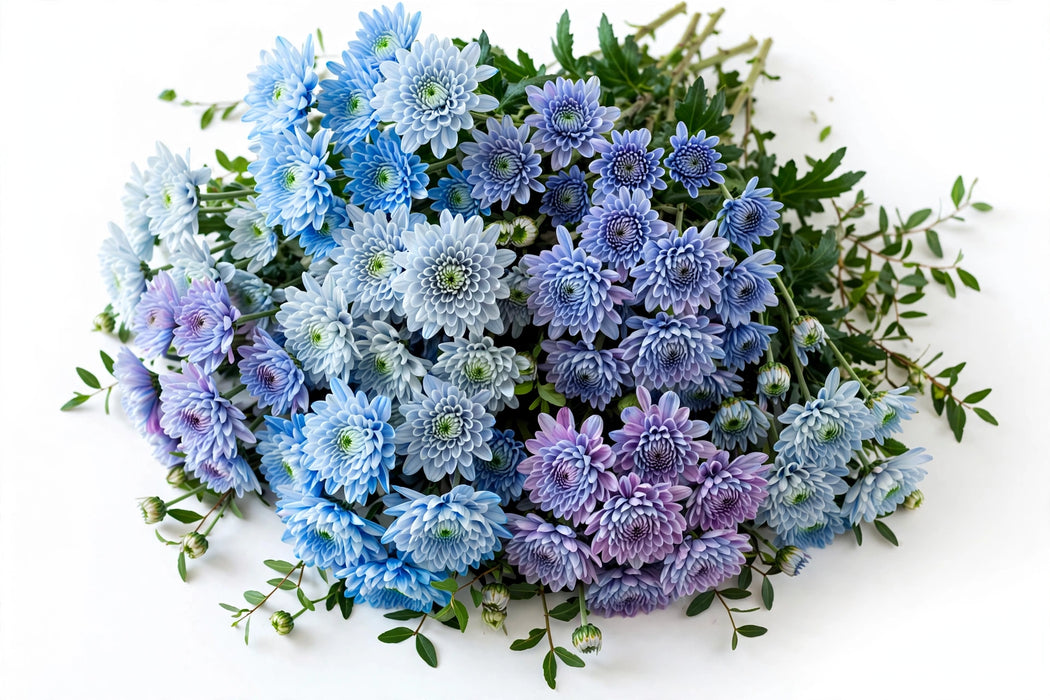 Next Day Delivery - POM NOVELTY BLUE OCEAN ASSORTED 60cm 7st - Assorted - 18 Stems [LIMITED]