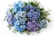 Next Day Delivery - POM NOVELTY BLUE OCEAN ASSORTED 60cm 7st - Assorted - 18 Stems [LIMITED]