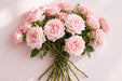 Next Day Delivery - ROSE PINK MONDIAL 60cm 6,5cm 25st - Pink - 100 Stems [Limited]