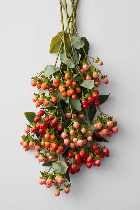 Next Day Delivery - Hypericum Fall Mix 60CM 9BU/BX