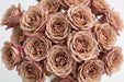 Next Day Delivery - ROSE WABARA MIYABI  BROWN 45cm 5cm 12st - Brown - 48 Stems [LIMITED]