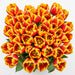 Tulip Collective - Lech Walesa 40Cm 40Gr - Bicolor Red/Yellow - 150 Stems