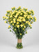Mini Carnation Yellow Xanthe - 15 Bunches