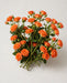 Spray Roses Orange Babe 40cm 100ST/BX