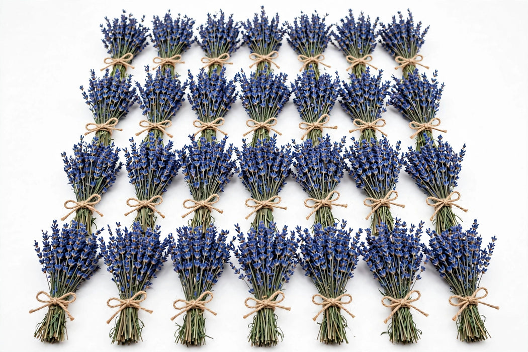 Dried Blue Lavender 25BU/BX.