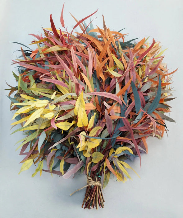 Euc Long-Leaf Stuartiana Fall Mix - 20 Bunches / Box (Mix & Match)