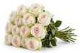 Next Day Delivery - ROSE WHITE O'HARA 50cm 5,5cm 25st - White - 100 Stems [LIMITED]