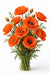 Next Day Delivery - PAPAVER ORANGE 40cm 10st - Orange - 120 Stems [LIMITED]