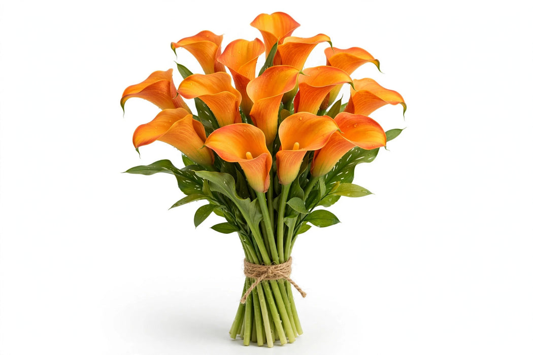 Calla Lily Mini Orange 50CM - 80 Stems/Box